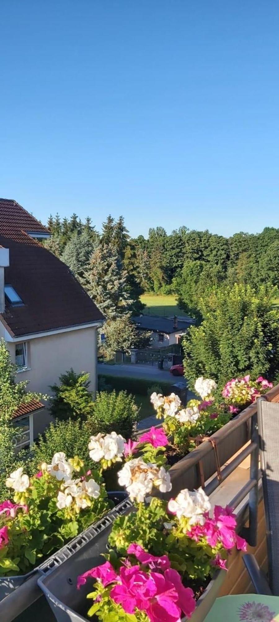 Ferienwohnung In Radeberg Bei Dresden Exteriör bild